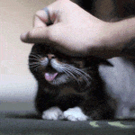 Участник ABSTRAKT ,мужчина ,33, Tallinn | ИнтимЧат.РФ