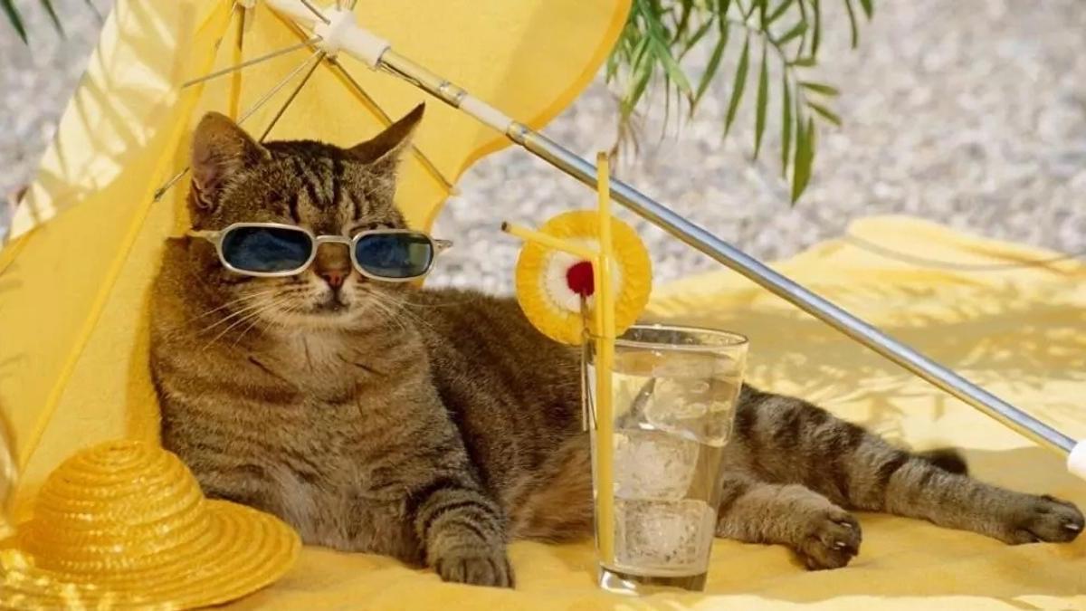 Участник ZERO777(2) ,мужчина ,23,  | ИнтимЧат.РФ