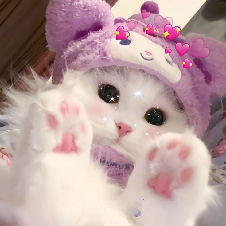 Участник OLGA28 ,женщина ,28, hidden | ИнтимЧат.РФ