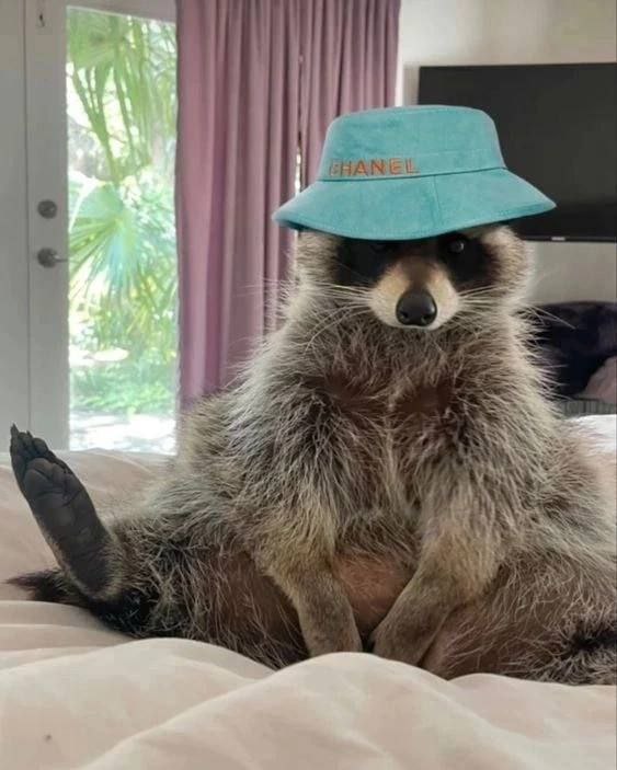 Участник EUGENE(14) ,мужчина ,35, Amsterdam | ИнтимЧат.РФ